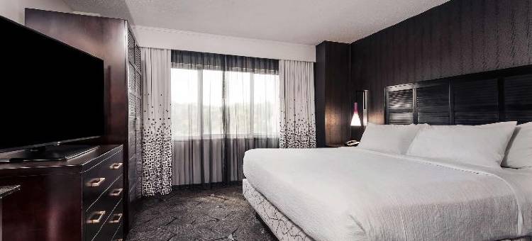 希尔顿安泊酒店-罗利克拉柏特里(Embassy Suites by Hilton Raleigh Crabtree)图片