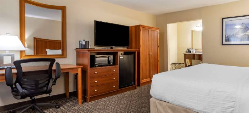 瑞士钟表贝斯特韦斯特酒店(Best Western Swiss Clock Inn)图片