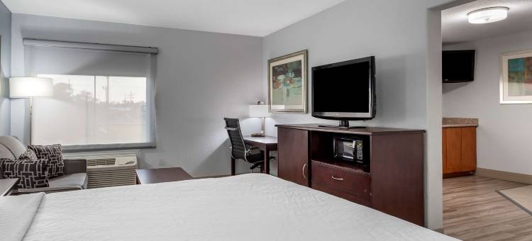 橙县贝斯特韦斯特优质酒店(Best Western Plus Orange County)图片