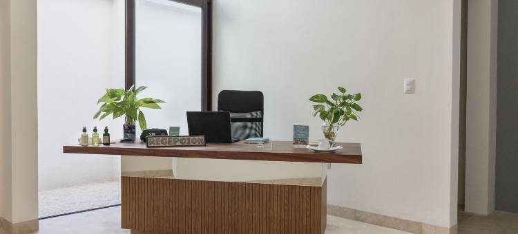 你的私人天堂 - 拉昆套房卡曼海滩(Tú Paraiso Privado- Lahun Suites Playa del Carmen)图片