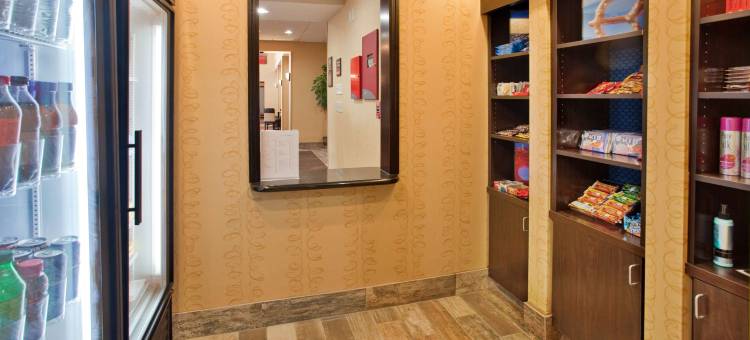 迪金森欢朋套房酒店(Hampton Inn & Suites Dickinson)图片