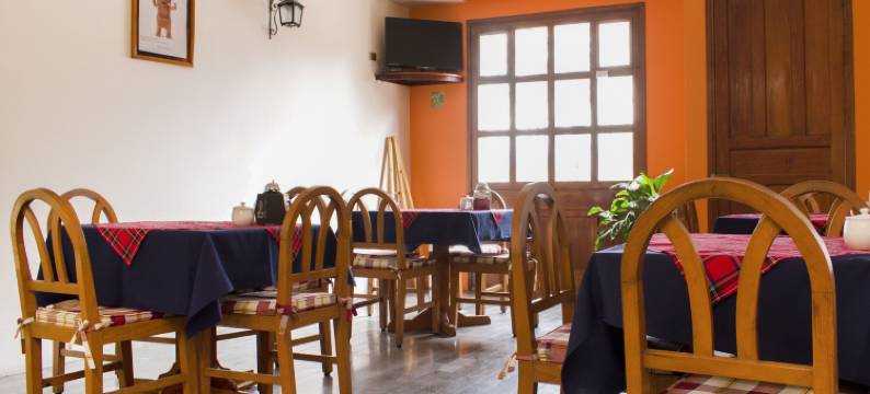 OYO 博物馆酒店(OYO Hotel Museo)图片