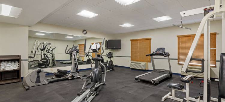 Best Western Executive Hotel图片