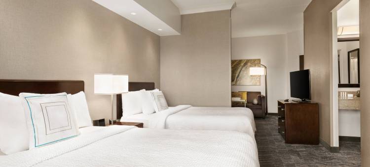 杜勒斯机场 SpringHill Suites 万豪酒店(SpringHill Suites Dulles Airport)图片