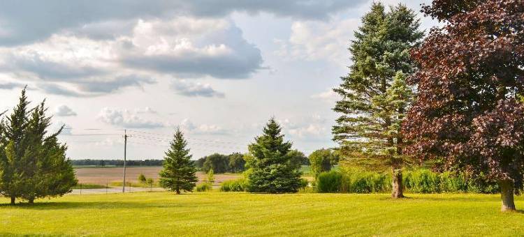 里斯托尔宣誓汽车旅馆(Vow Motel Listowel on)图片