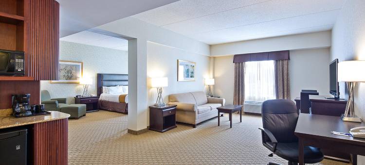 渥太华机场智选假日套房酒店(Holiday Inn Express & Suites OTTAWA AIRPORT by IHG)图片