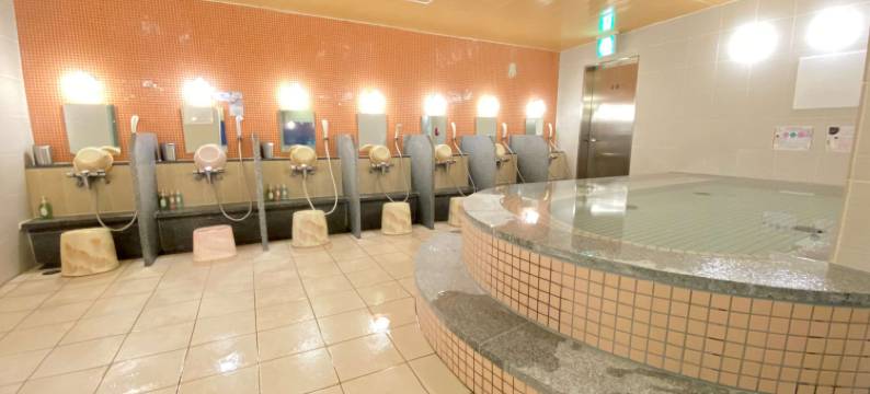 日立广场水疗及桑拿酒店(Spa & Sauna Hotel Hitachi Plaza)图片