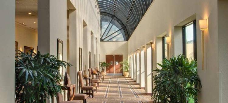 希尔顿安泊酒店-西棕榈滩中央(Embassy Suites by Hilton West Palm Beach Central)图片