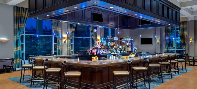 达拉斯北万丽酒店(Renaissance Dallas North Hotel)图片
