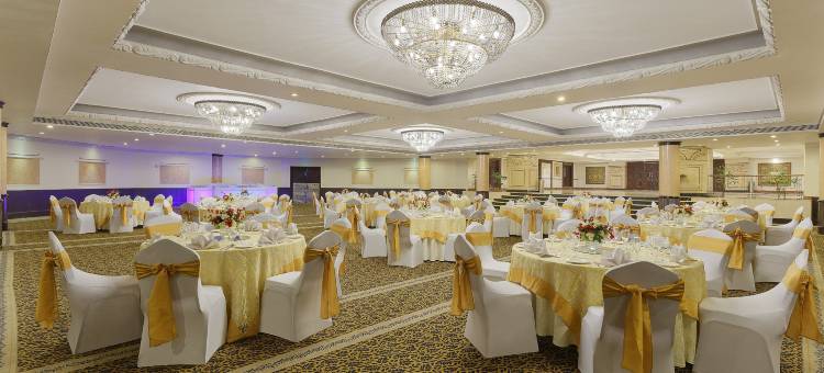 卢迪亚纳丽亭酒店(Park Plaza, Ludhiana)图片