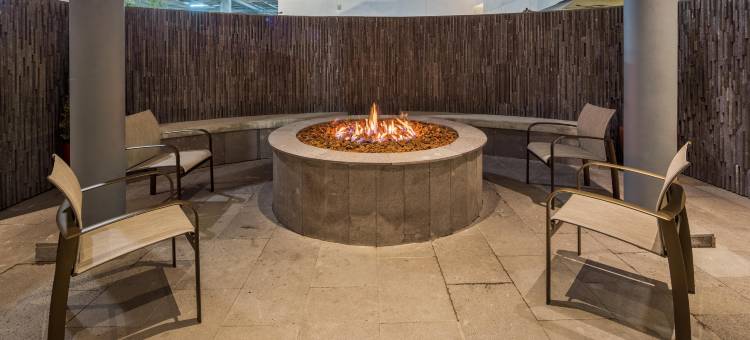 奇瓦瓦万怡酒店(Courtyard Chihuahua)图片