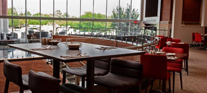 达拉斯希尔顿花园酒店-赫斯特会议中心(Hilton Garden Inn Dallas - at Hurst Conference Center)图片