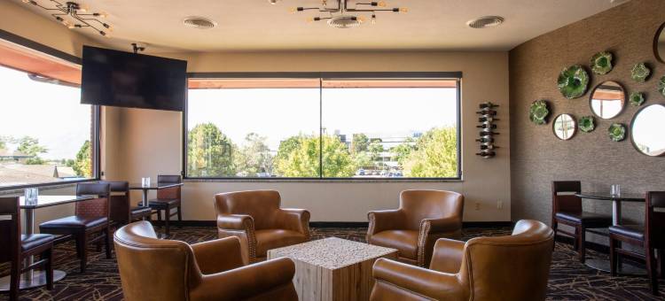 科罗拉多斯普林斯机场丽笙酒店(Radisson Hotel Colorado Springs Airport)图片