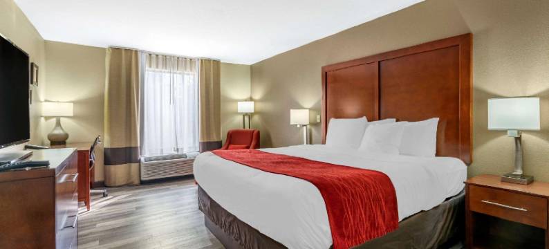 舒适酒店-近圣路易斯六旗(Comfort Inn Near Six Flags St Louis)图片