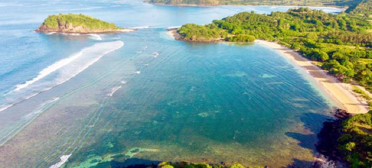 鲸鱼和波浪(Whales and Waves)图片