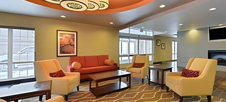 迈诺特舒适套房酒店(Comfort Suites)图片