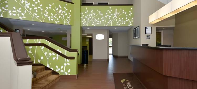 舒眠酒店-萨凡纳北95号州际公路(Sleep Inn I-95 North Savannah)图片