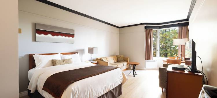 奥贝格德拉蒙塔尼考培酒店(Auberge de la Montagne Coupée)图片