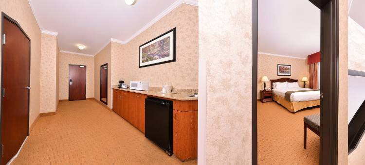 智选假日套房酒店奥尔巴尼(Holiday Inn Express & Suites Albany)图片