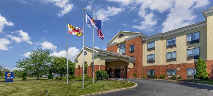 切斯特顿舒适套房酒店(Comfort Inn & Suites Chestertown)图片