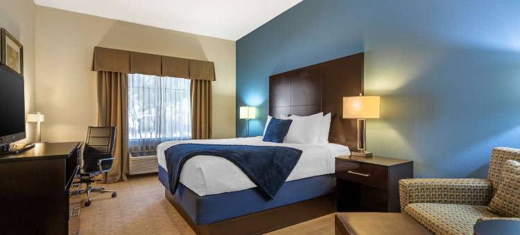 莱托贝斯特韦斯特优质套房酒店(Best Western Plus Lytle Inn  Suites)图片