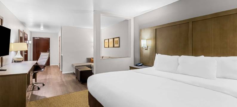 哥伦比亚 I-65 舒适套房酒店(Comfort Suites Columbia I-65)图片