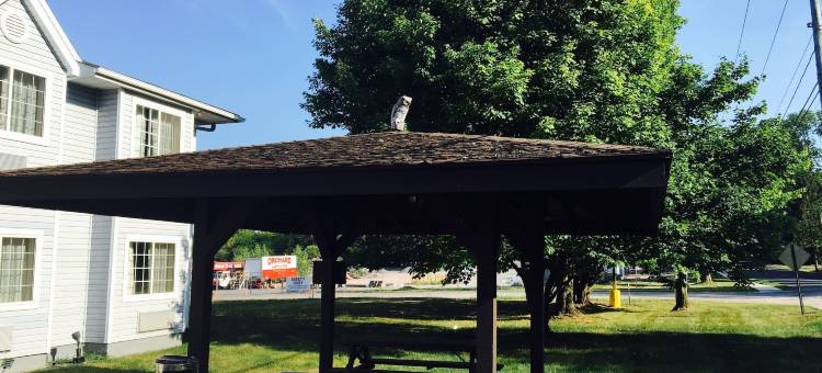 鲍德温斯维尔-锡拉丘兹麦客达套房酒店(Microtel Inn & Suites by Wyndham Baldwinsville/Syracuse)图片