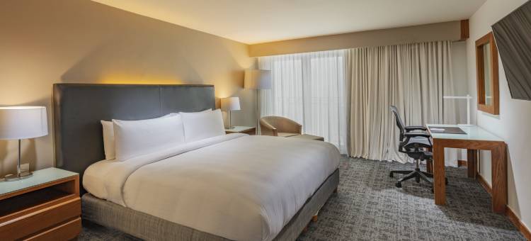 普埃布拉洲际总统酒店(InterContinental Hotels Presidente Puebla)图片