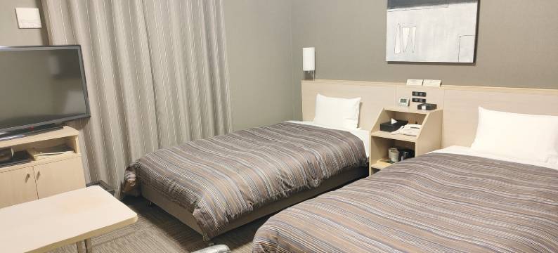 露樱酒店海老名站前店(Hotel Route-Inn Ebina Ekimae)图片