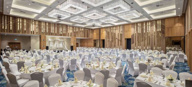 埃尔祖鲁姆希尔顿花园酒店(Hilton Garden Inn Erzurum)图片