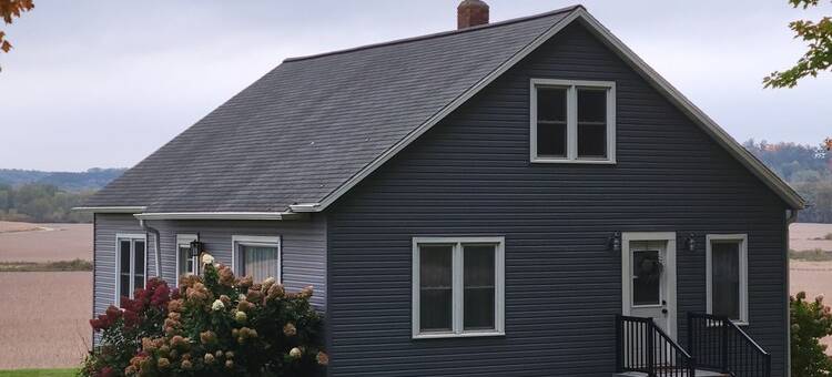 Country Serenity at The Resting Windmill图片