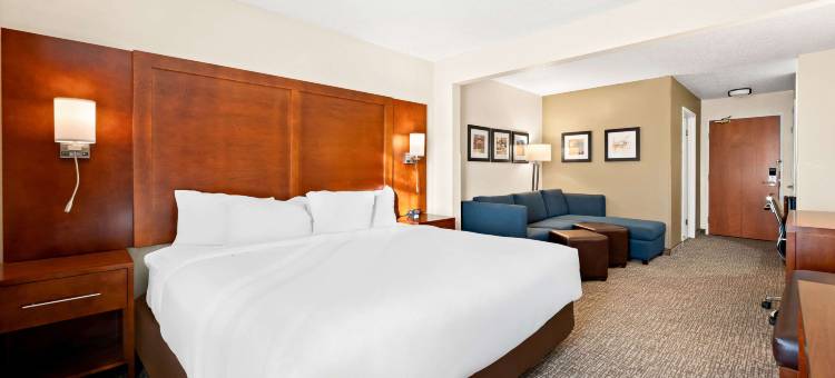 迪凯特-福赛斯舒适套房酒店(Comfort Inn & Suites Decatur-Forsyth)图片