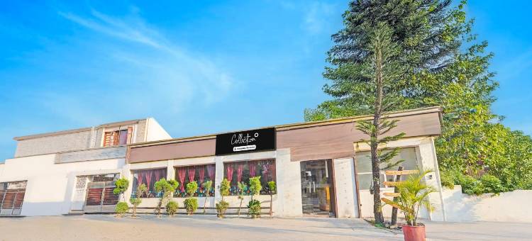 Collection O Race Course Dehradun图片