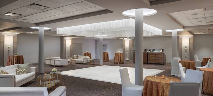 德梅因萨弗里万丽酒店(Renaissance des Moines Savery Hotel)图片