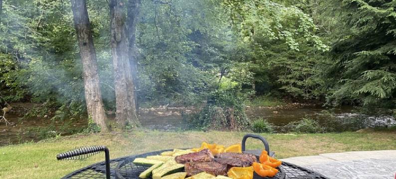 Waterfront River Home Near Asheville, Dog Friendly图片