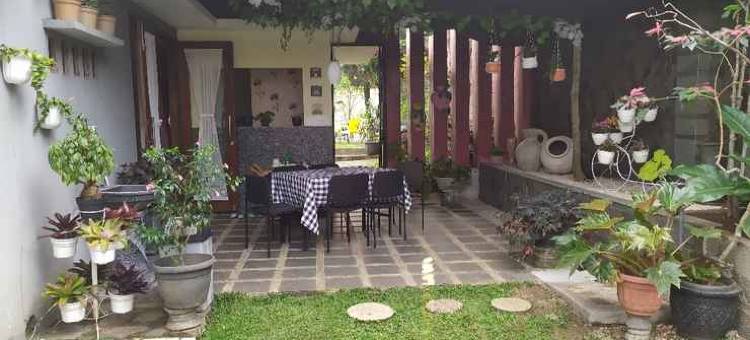 Villa Variz 2图片