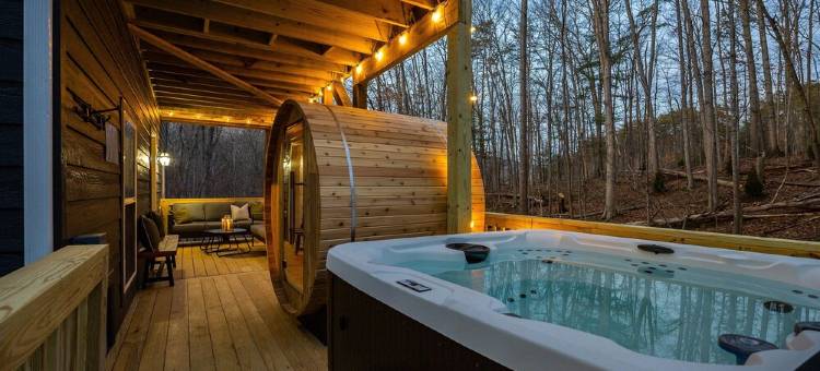 Modern Family Luxury, 6br, 5 bath, WOW factor! Sauna, Hot Tub, Game rms FirePit!图片