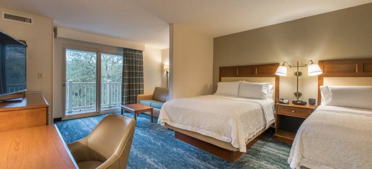 杰基尔岛欢朋套房酒店(Hampton Inn & Suites Jekyll Island)图片