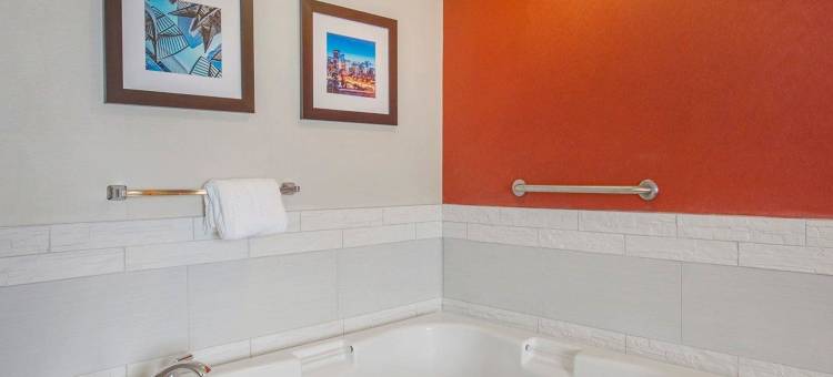 舒适酒店及套房大学(Comfort Inn & Suites University)图片