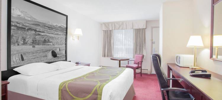 莱斯布里奇速8酒店(Super 8 by Wyndham Lethbridge)图片