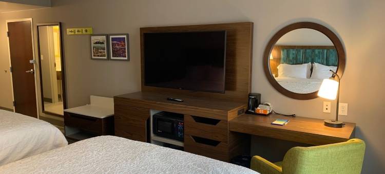 德威特锡拉丘兹希尔顿欢朋套房酒店(Hampton Inn & Suites Syracuse Dewitt)图片