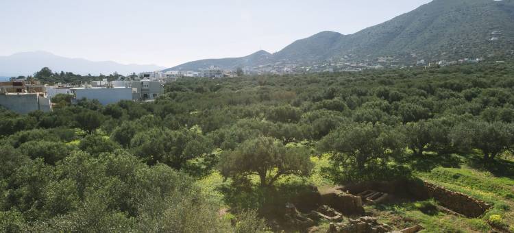 伊罗达乔治开放式公寓酒店(Elounda George Studios)图片