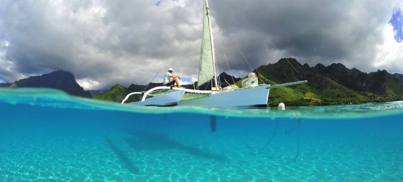 芙蓉酒店(Hotel Hibiscus)图片