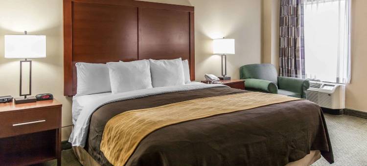 五角大楼城舒适酒店(Comfort Inn Pentagon City)图片