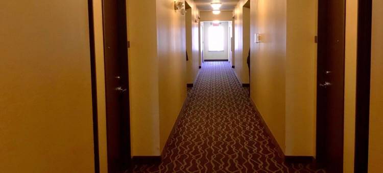 舒眠酒店及套房(Sleep Inn & Suites)图片