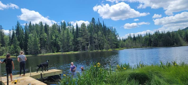 Ladd池小屋和露营地(Ladd Pond Cabins and Campground)图片