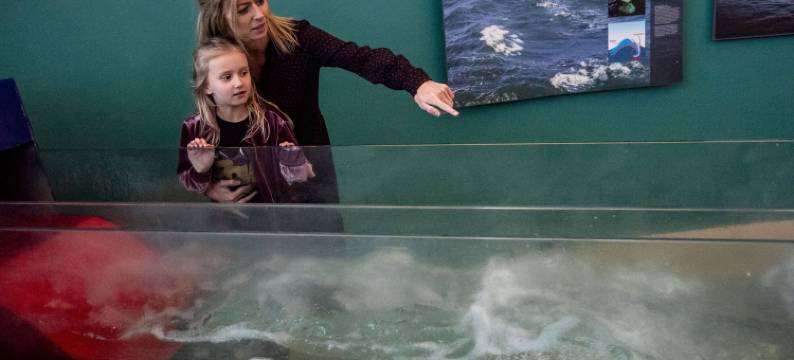 太波伦酒店(Thyborøn Hotel)图片