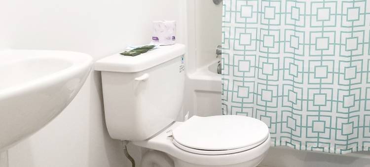 肯特汽车旅馆(Kent Motel)图片