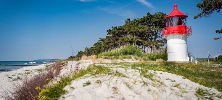 祖尔阿尔滕施米德酒店(Hotel Rügenschmiede Vis a Vis Hiddensee)图片