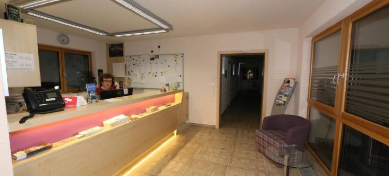 莱丁格旅馆(Leidringer Gästehaus Gmbh)图片